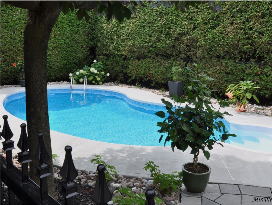 Sima Pools - Evaluating needs - Sima POOLS & SPAS